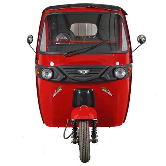 Triciclo elettrico per il tempo libero a 3 ruote per adulti, alimentato a batteria, certificato CCC, con veicolo a motore da 4000 W