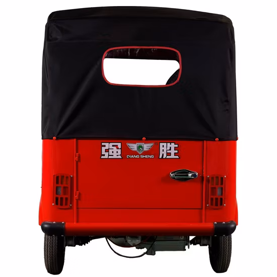 Triciclo elettrico per il tempo libero a 3 ruote per adulti, alimentato a batteria, certificato CCC, con veicolo a motore da 4000 W