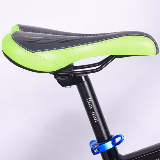 Vendita calda bici elettrica portatile pieghevole bicicletta elettrica bici elettrica per adulti 350W City Bike