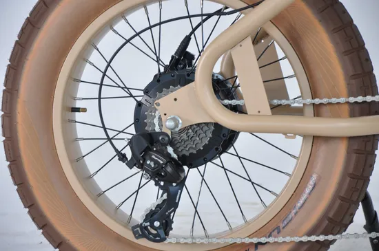 Bici elettrica da montagna e da pendolarismo con telaio in alluminio per pneumatici grassi 20*4.0 E