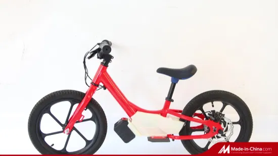 Bicicletta elettrica per bambini con certificato CE