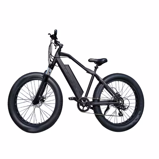 500 W/750 W/1000 W 26 pollici 100 Nm Shimano 7