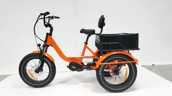 Triciclo elettrico per adulti personalizzato a 3 ruote E Trike ad alta potenza con motore MID Cargo