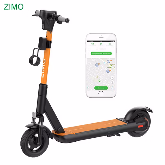 Popolare scooter elettrico condiviso per adulti da 750 W 45 km/h Kick E Scooter in vendita