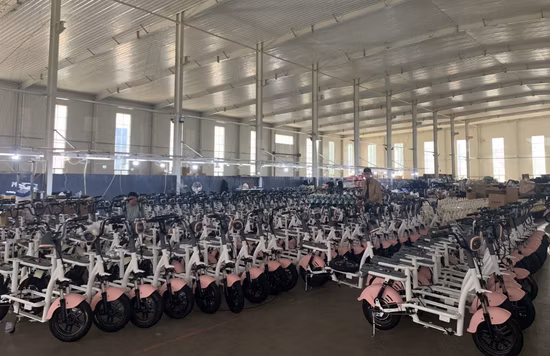 Bicicletta elettrica pieghevole da città con magazzino motore 36V 250W in Europa